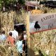 modern family fall for all corn maze entrance